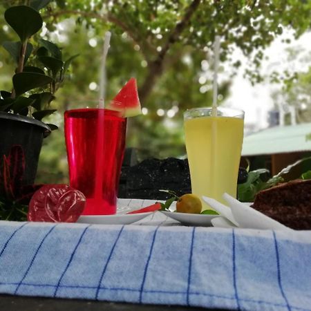 Sigiri La Veranda Lodge Kibissa Εξωτερικό φωτογραφία