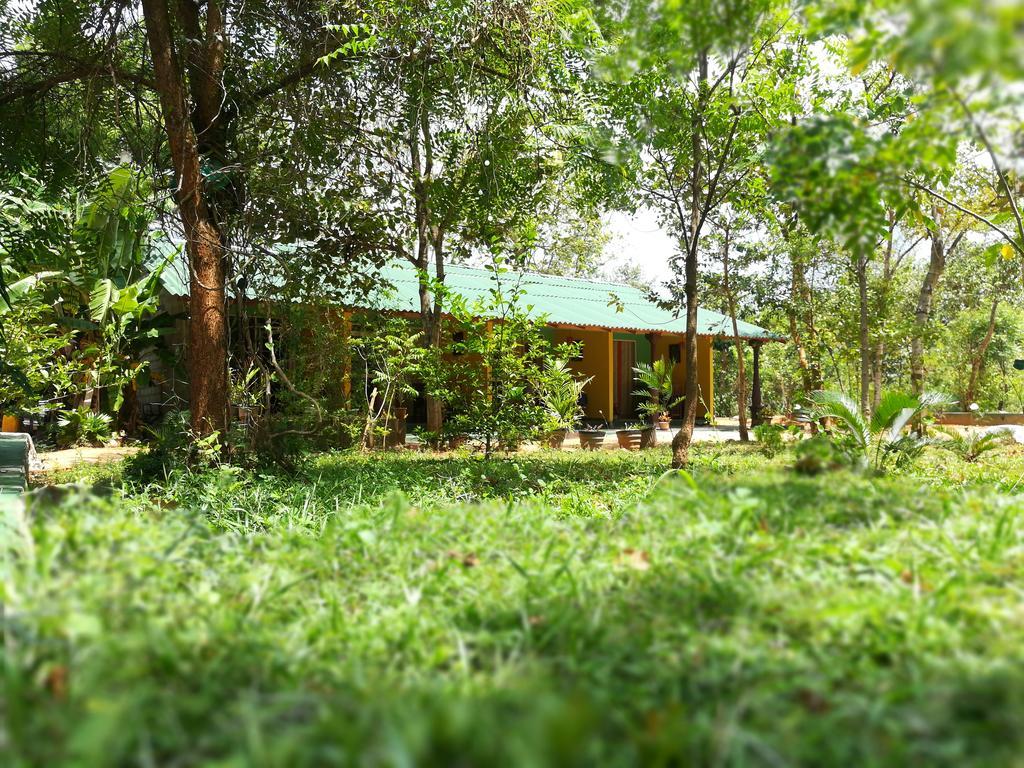 Sigiri La Veranda Lodge Kibissa Εξωτερικό φωτογραφία