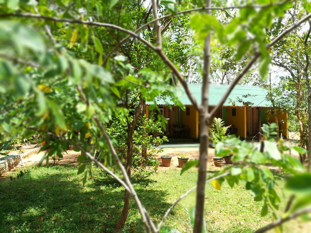Sigiri La Veranda Lodge Kibissa Εξωτερικό φωτογραφία