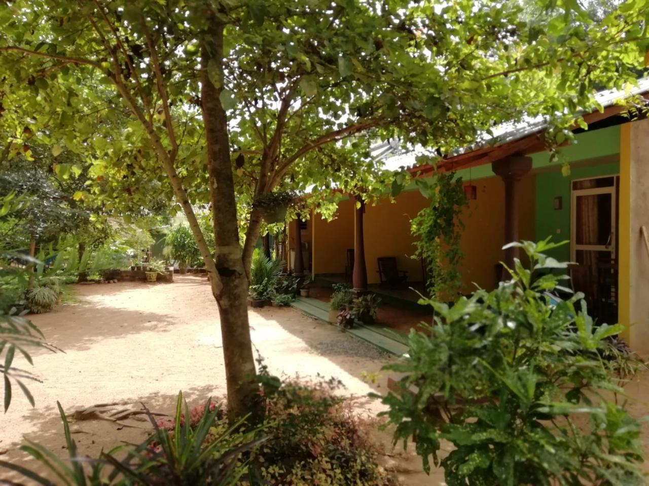 Sigiri La Veranda Lodge Kibissa Εξωτερικό φωτογραφία