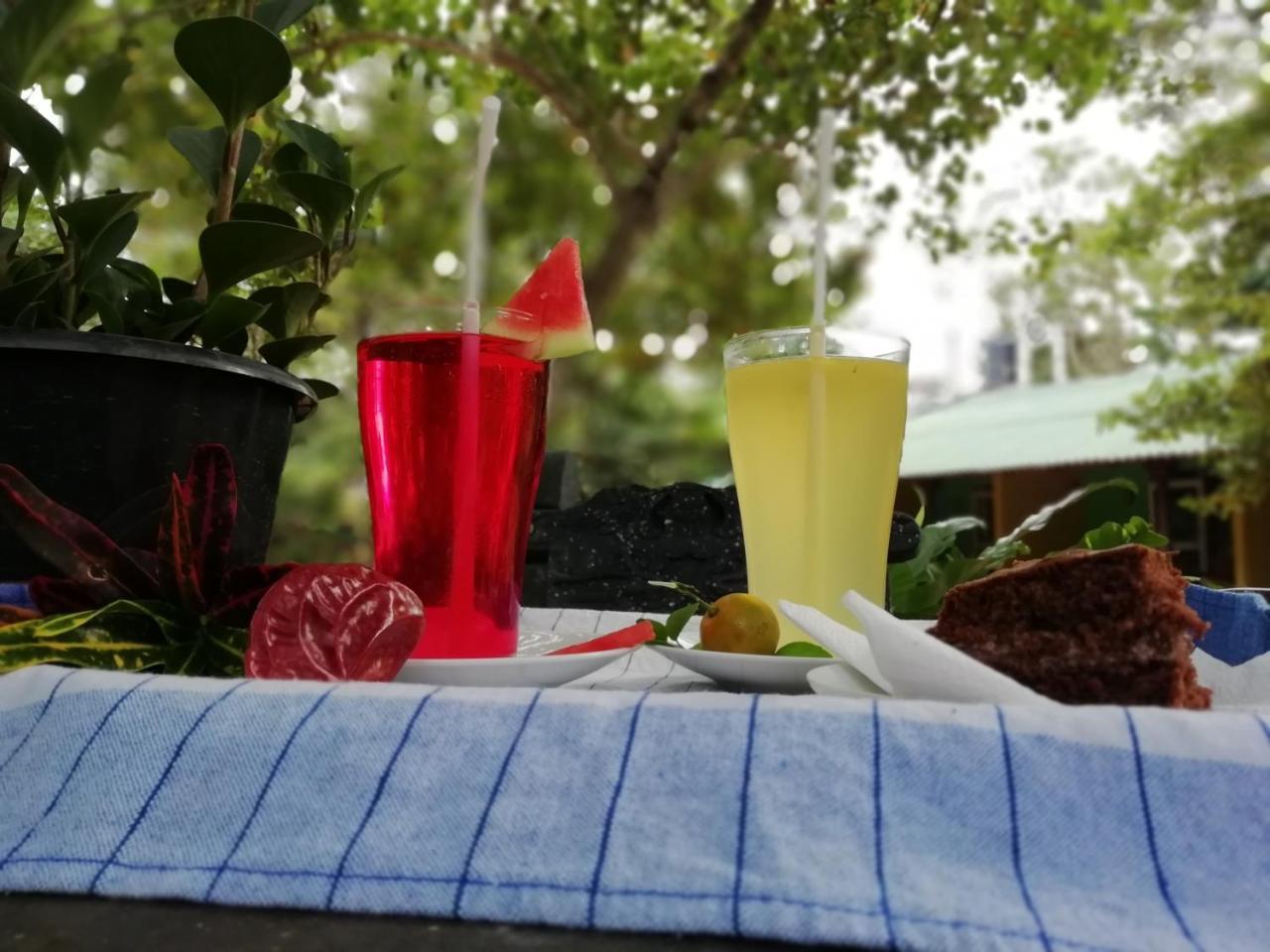Sigiri La Veranda Lodge Kibissa Εξωτερικό φωτογραφία